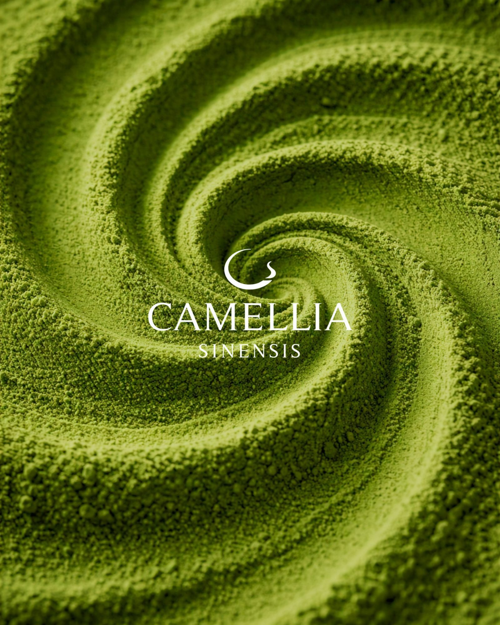 Camelia Sinensis matcha shoot Bali